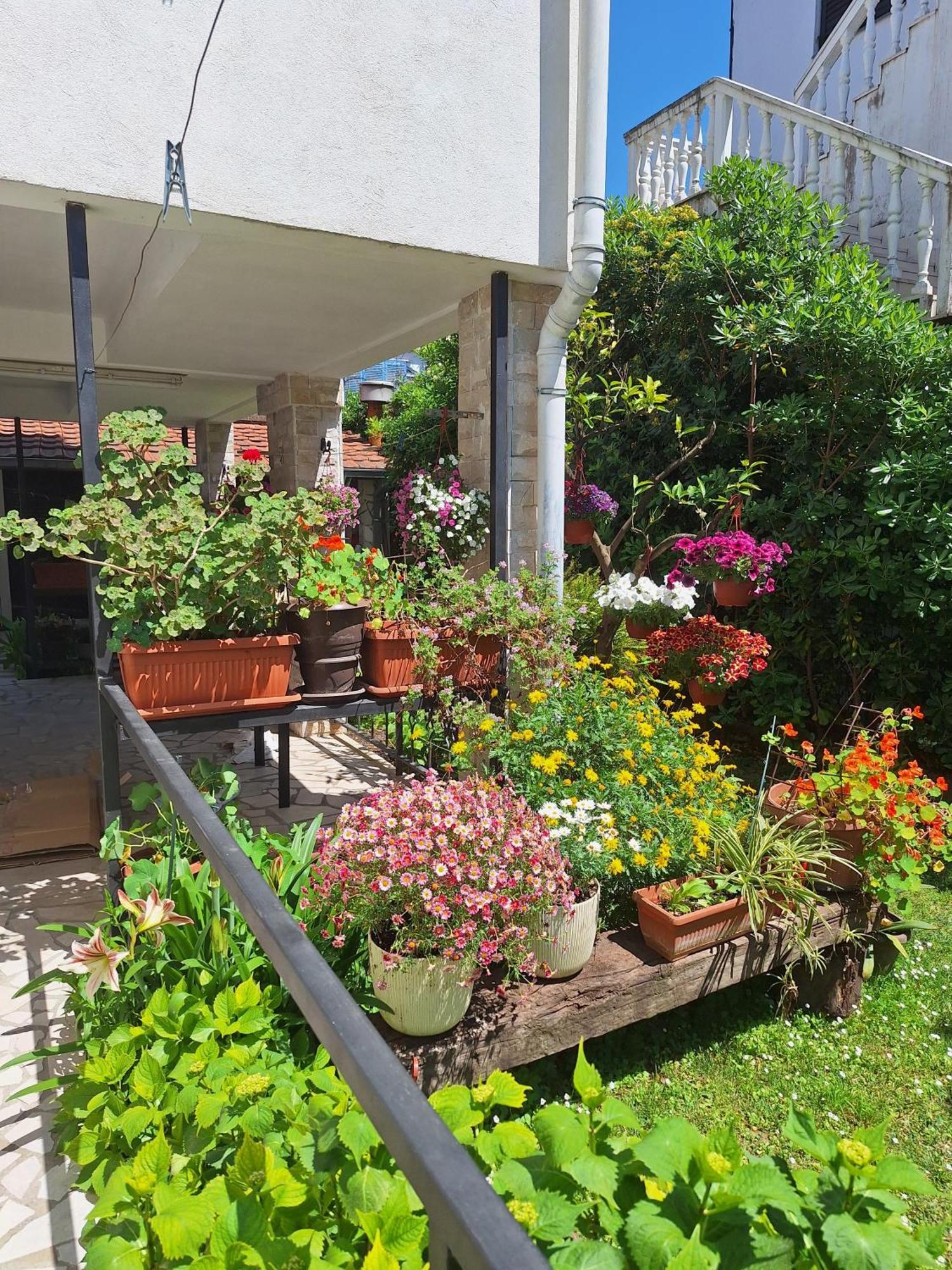 Apartmani Hortenzija Budva Exterior foto